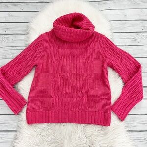 Banana Republic Alpaca/Merino Wool Blend Chunky Cowl Neck Pink Sweater